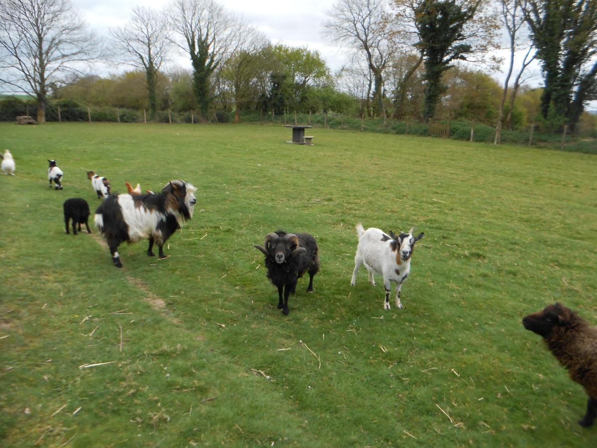 Gite Rural Finistere Sud Entree Presqui'Le Crozon Saint-Segal Exterior foto